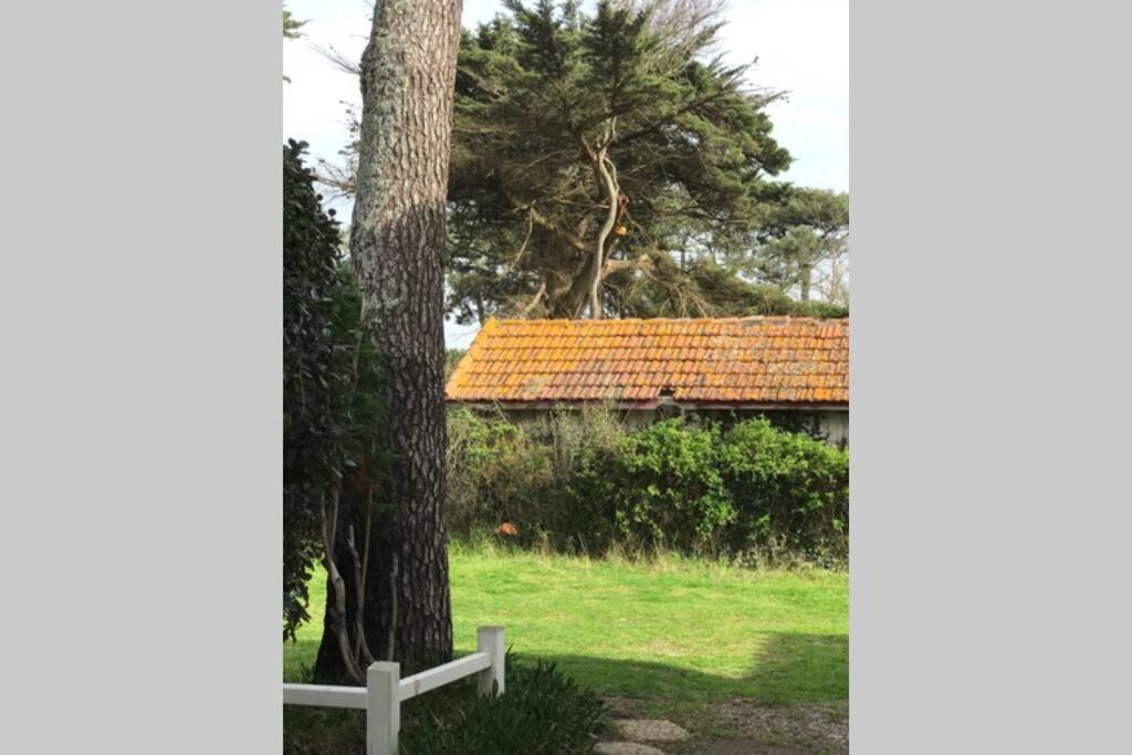 Maison A 300M De La Plage, Quartier Calme Mimizan-Plage Kültér fotó