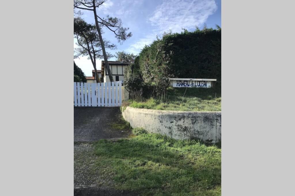 Maison A 300M De La Plage, Quartier Calme Mimizan-Plage Kültér fotó